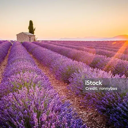 En Provence 2 T3 Jardin Clos Et
